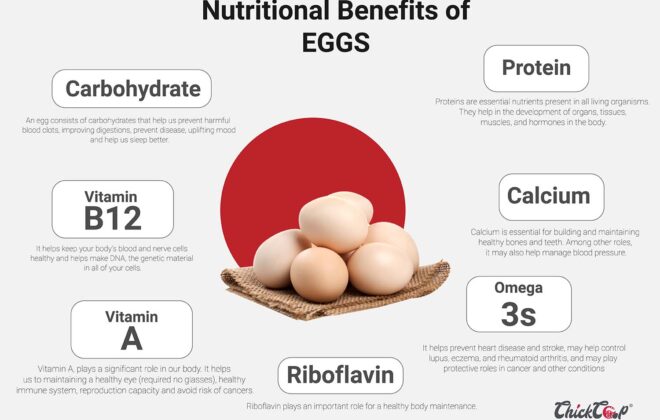 Nutritional Benefits of eating eggs