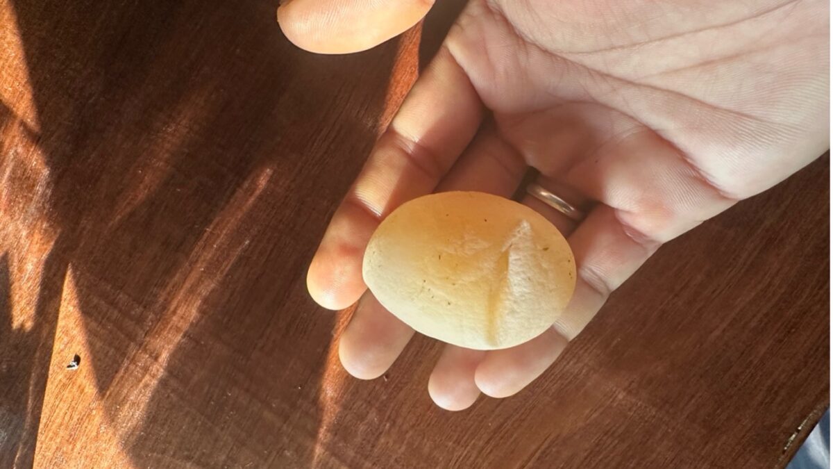 Why my chicken egg's lacking shell