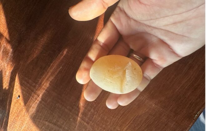 Why my chicken egg's lacking shell