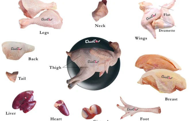 A Guide to Edible Chicken