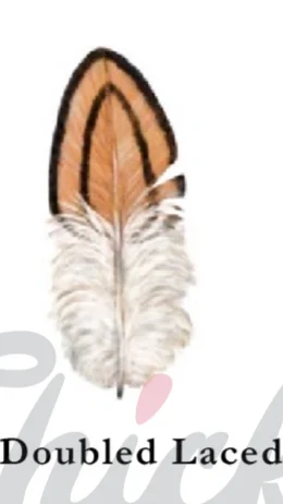 Types of chicken feather