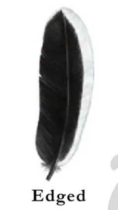 Types of chicken feather