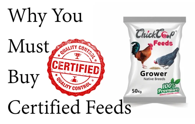 Why You Must Buy Certified Feeds