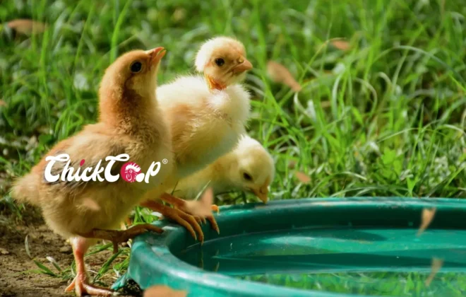 how to minimize heat stroke